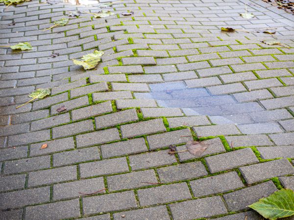 Sunken Pavers Restoration